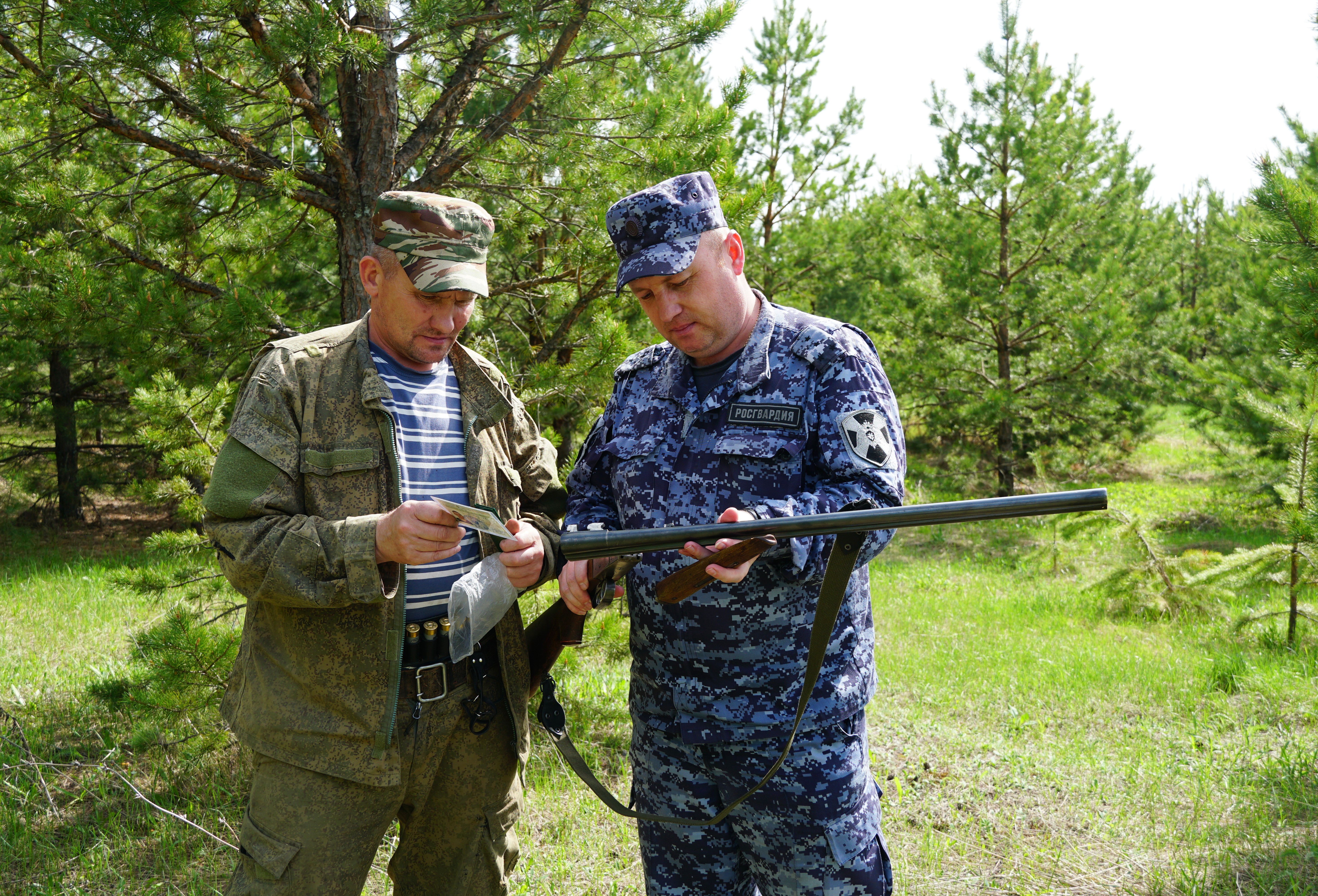 В Ульяновске сотрудники Росгвардии провели рейдовые мероприятия в охотничьих угодьях региона.
