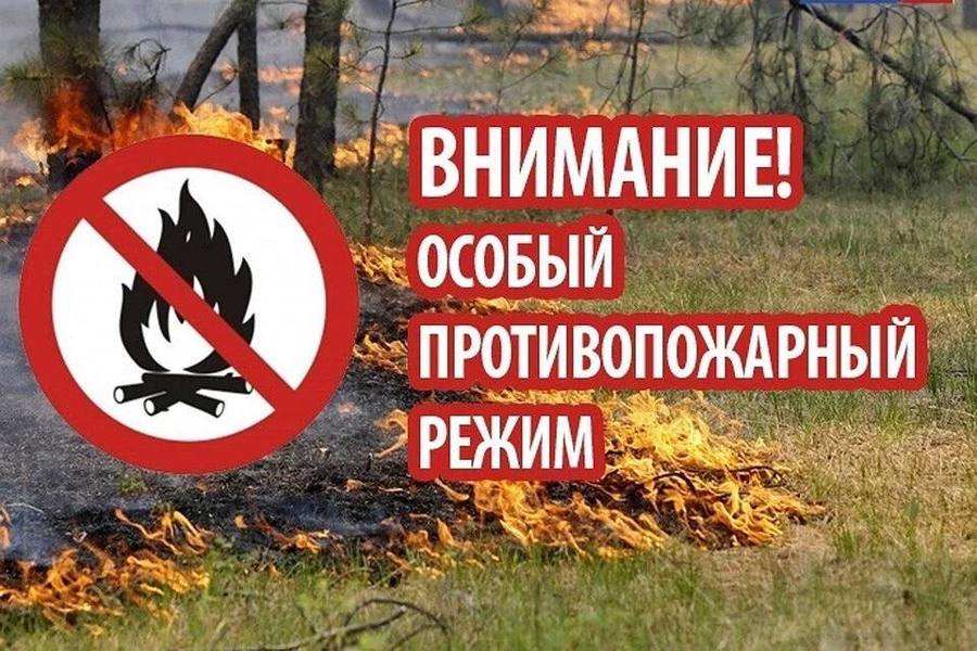 Особенный период — особая ответственность.