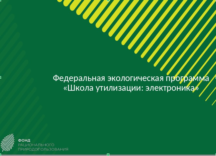 &quot;Школа утилизации: электроника&quot;.