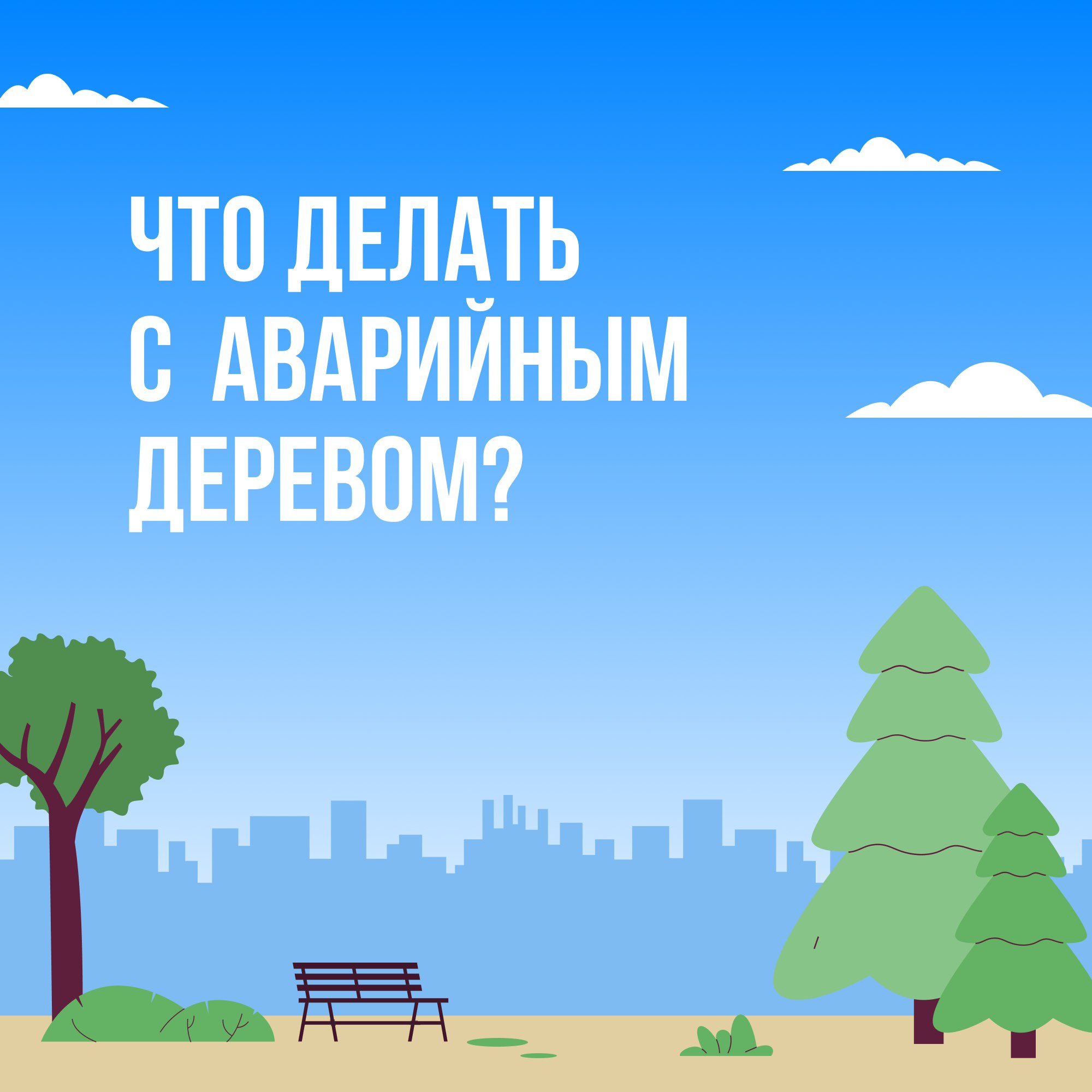 Что делать с аварийными деревьями?.