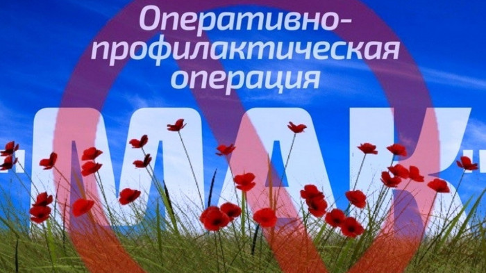 На территории Ульяновской области проходит комплексная оперативно-профилактическая операция &quot;Мак-2024&quot;..