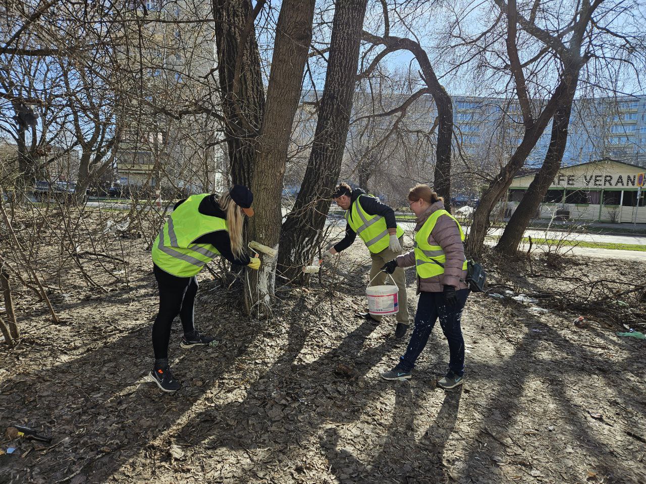 Сегодня в Ульяновске пройдет общегородской субботник.