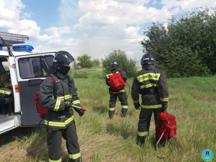 🚒 Ульяновские спасатели не допустили распространения пожара на деревню Кувшиновка.