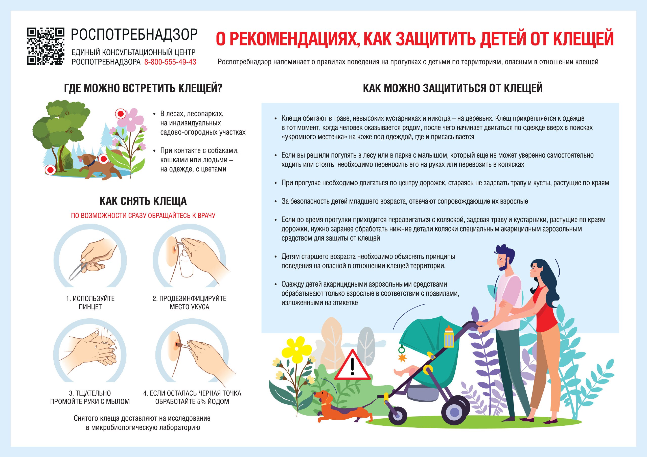 Осторожно! Клещи!.