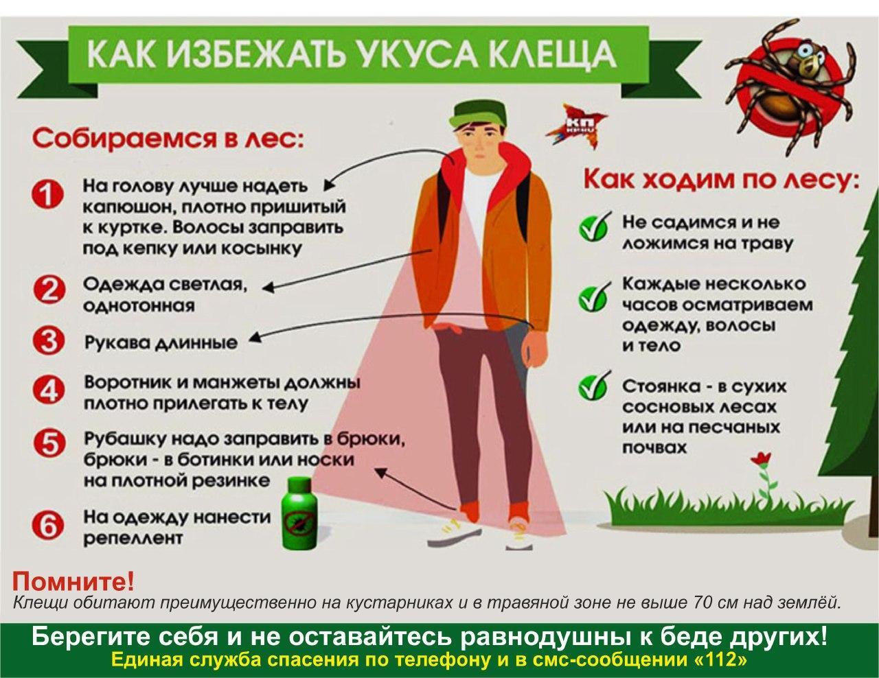 Не лают, но кусают: осторожно – клещи!.