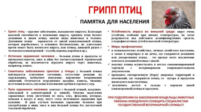 В целях недопущения возникновения и распространения высокопатогенного гриппа птиц, рекомендуем ознакомится с памяткой.. В целях недопущения возникновения и распространения высокопатогенного гриппа птиц, рекомендуем ознакомится с памяткой..