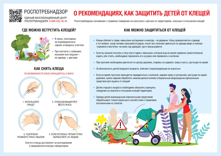 Осторожно! Клещи!. Осторожно! Клещи!.