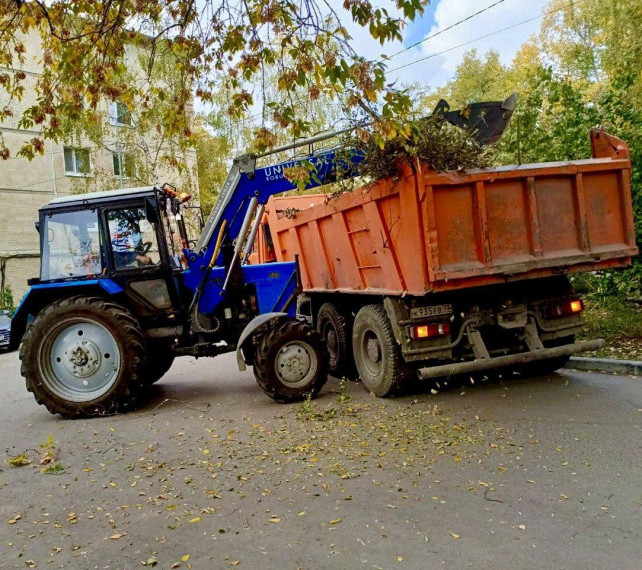 В Ульяновске продолжается осенний месячник по благоустройству. В Ульяновске продолжается осенний месячник по благоустройству.