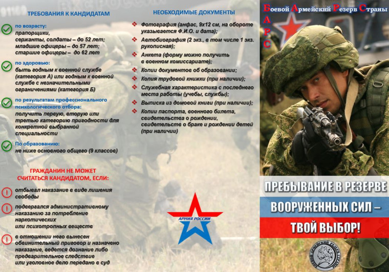 Что такое мобилизационный людской резерв?. Что такое мобилизационный людской резерв?.