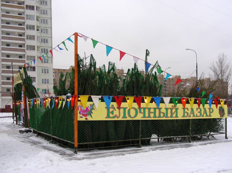 В Ульяновске новогодние ёлки можно купить на 22 базарах. В Ульяновске новогодние ёлки можно купить на 22 базарах.