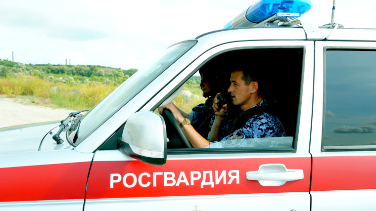 В Ульяновске сотрудники вневедомственной охраны Росгвардии задержали подозреваемого в совершении мелкого хищения. В Ульяновске сотрудники вневедомственной охраны Росгвардии задержали подозреваемого в совершении мелкого хищения.