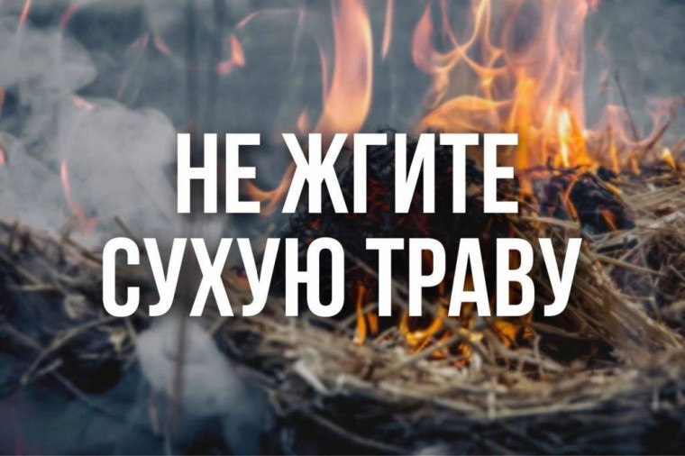 С наступлением теплой весенней погоды сжигать сухую траву и мусор крайне опасно.. С наступлением теплой весенней погоды сжигать сухую траву и мусор крайне опасно..