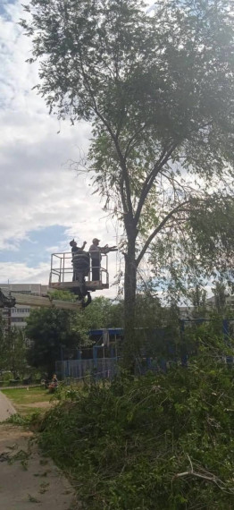 На прошлой неделе в Ульяновске снесли 27 аварийных дерева.